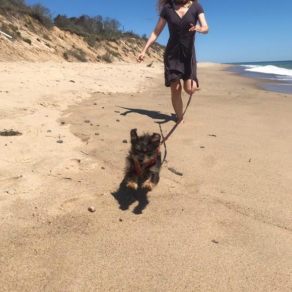 Meet your Posher, Lizzie - Picture 2 of 3